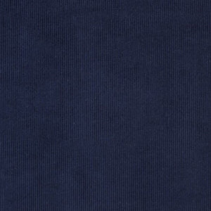 Fabric: Midnight Corduroy