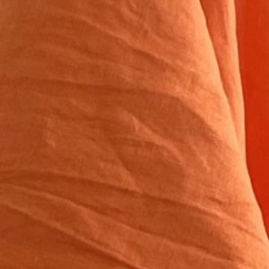 Fabric: Linen in Clementine