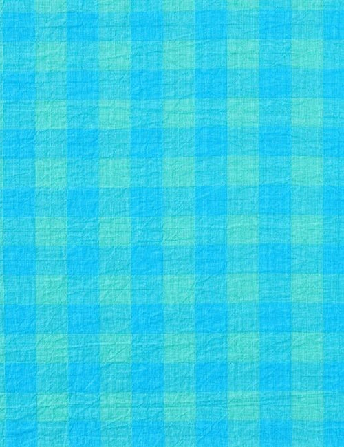 Fabric: Aquarius Gingham Cotton
